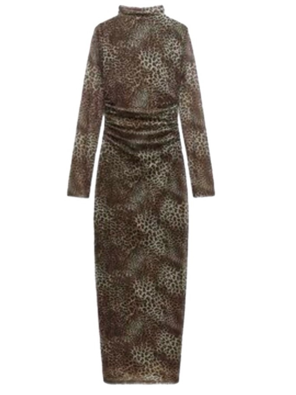 Zara Leopard Print Long Sleeve Maxi Dress